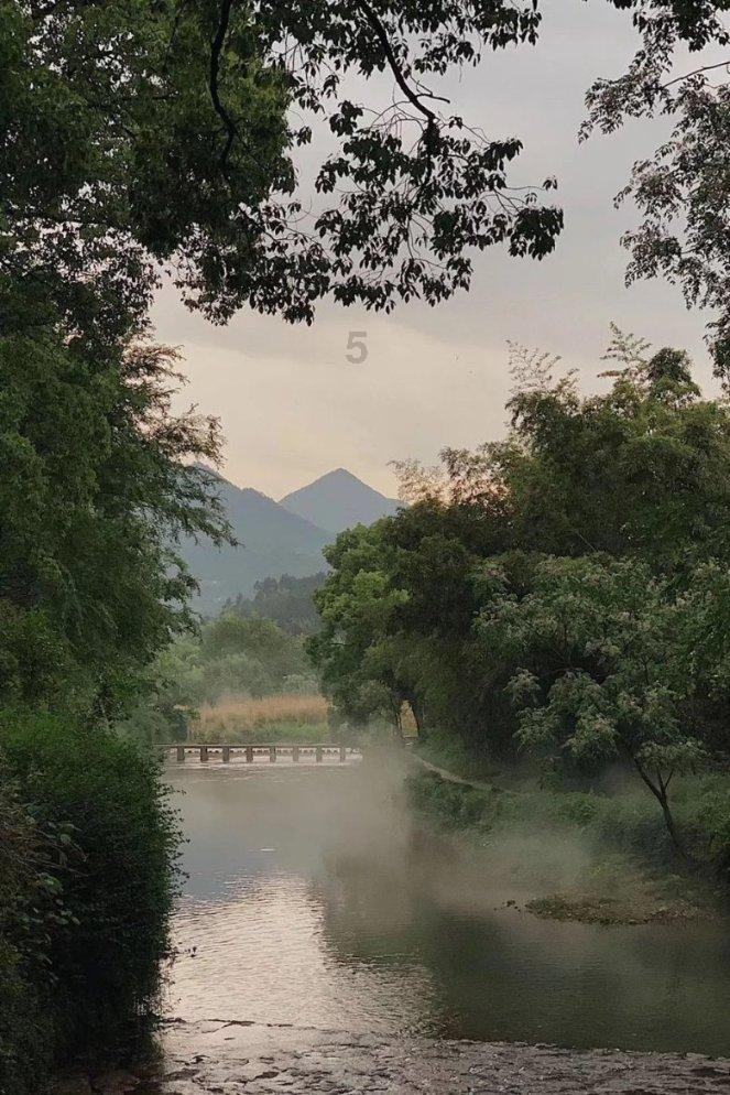 了解司马懿早已是识破诸葛亮的空城计，为何不去生擒诸葛亮？的最佳知识问答网页